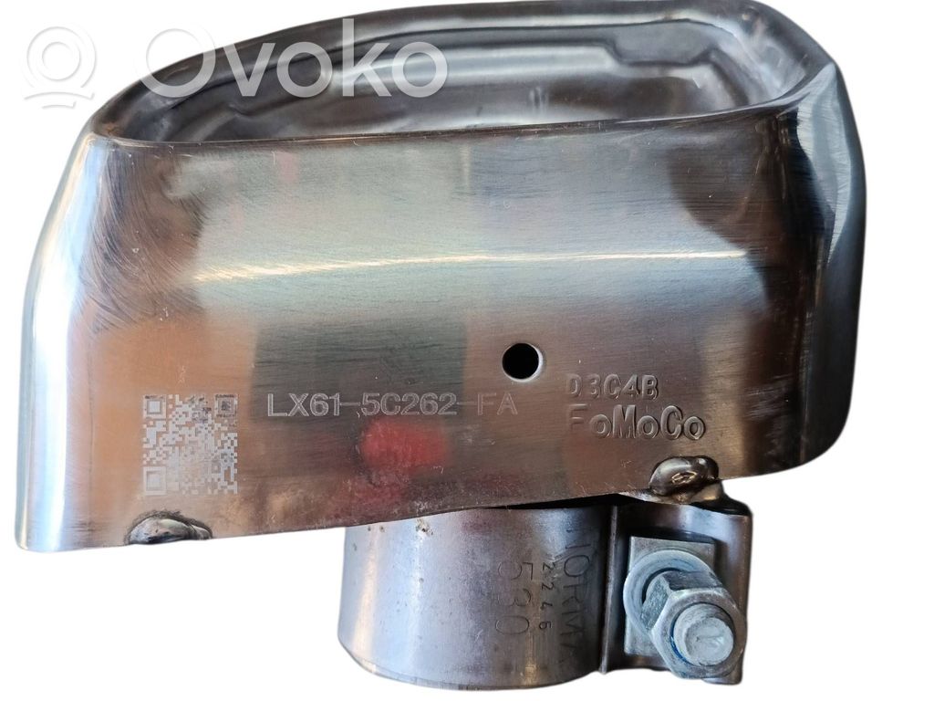 Galinė pūslė   LX615C262FA