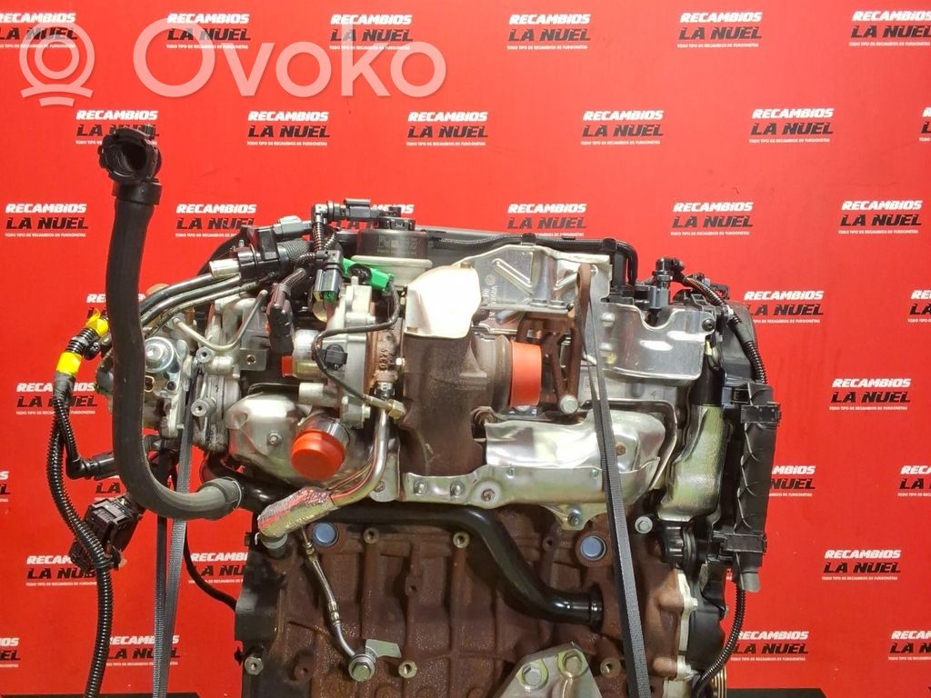 Variklis   AH01,9835331780,9800137480