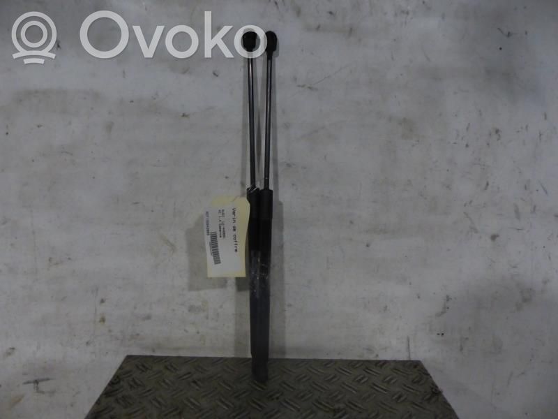 Tailgate/trunk strut/damper   8X3827552