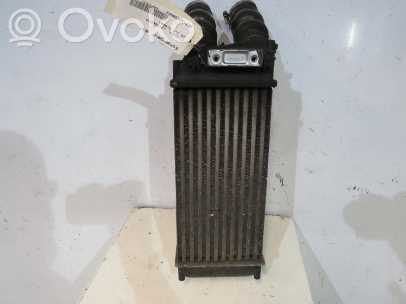 Radiador intercooler   00000384H5