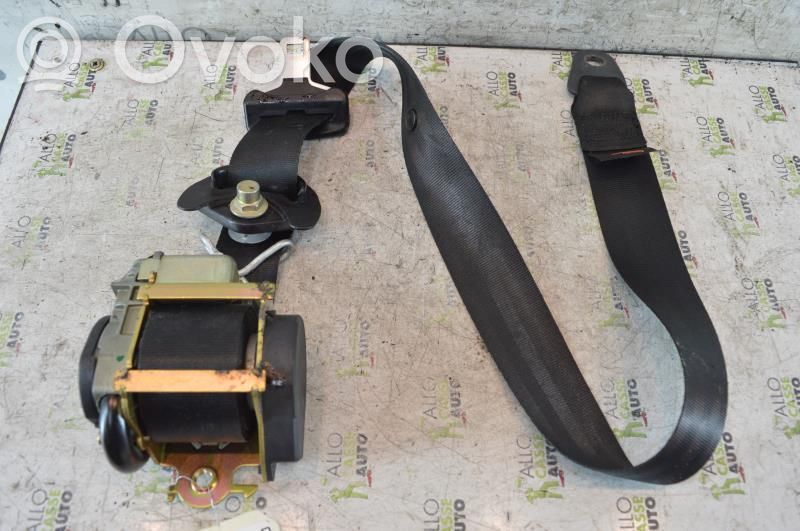 Cinturón delantero   00008974T5
