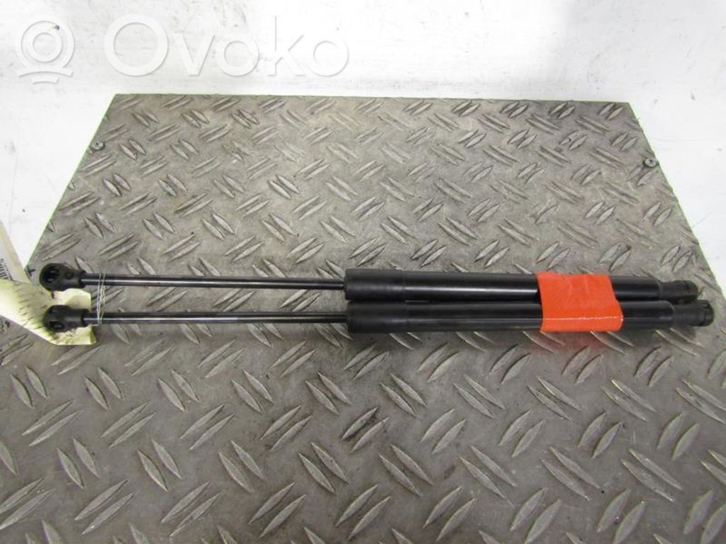Tailgate/trunk strut/damper   00008731V4