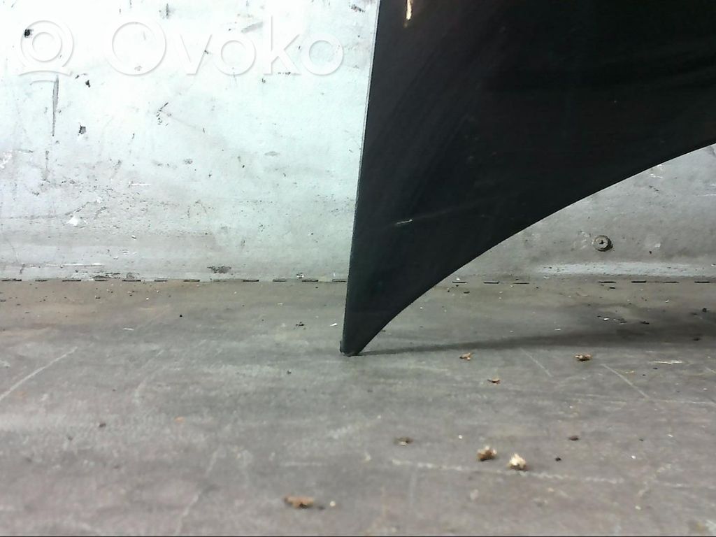 Engine bonnet/hood   00007901Q1
