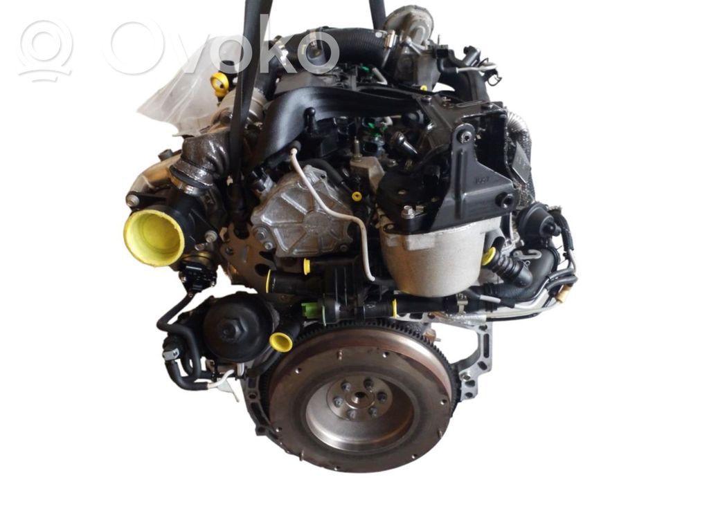 Ford Fiesta Motor 