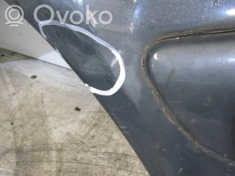 Hyundai Trajet Guardabarro 