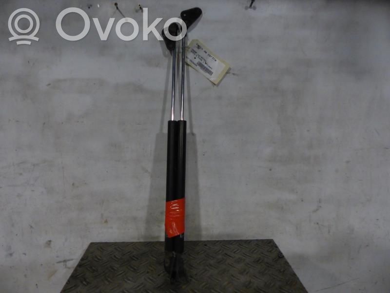 Bagāžnieka amortizators   C23563620E