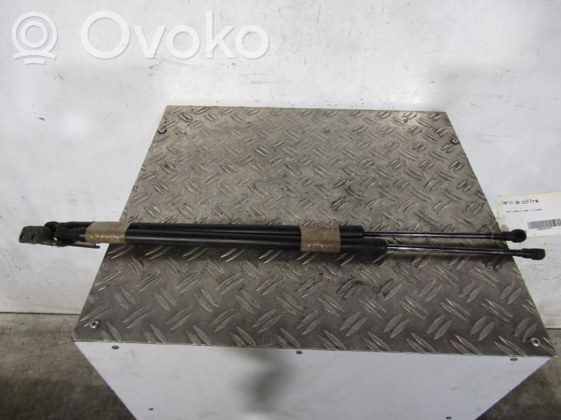 Tailgate/trunk strut/damper   904509U00C
