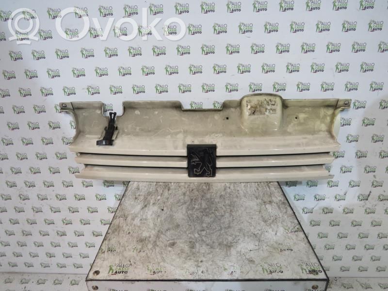 Front grill   780499