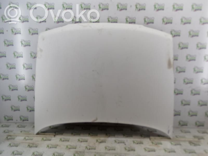 Motorhaube   7901C8