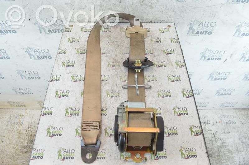 Cinturón delantero   8974HN
