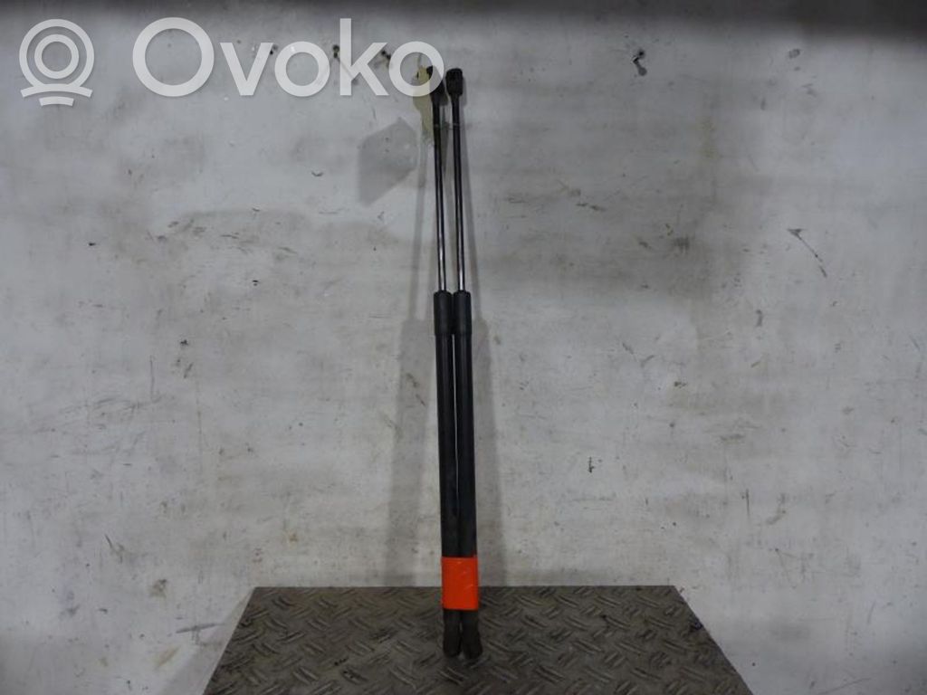 Tailgate/trunk strut/damper   13258179