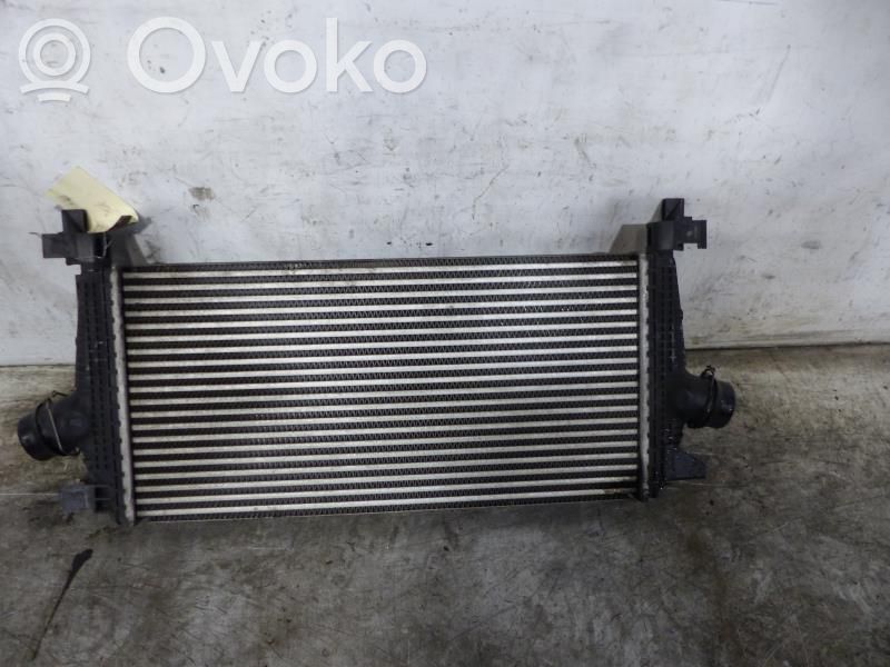 Intercooler radiator   13267646