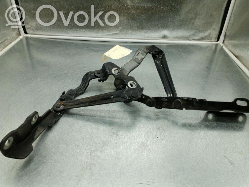 Volkswagen New Beetle Balamale capotă 