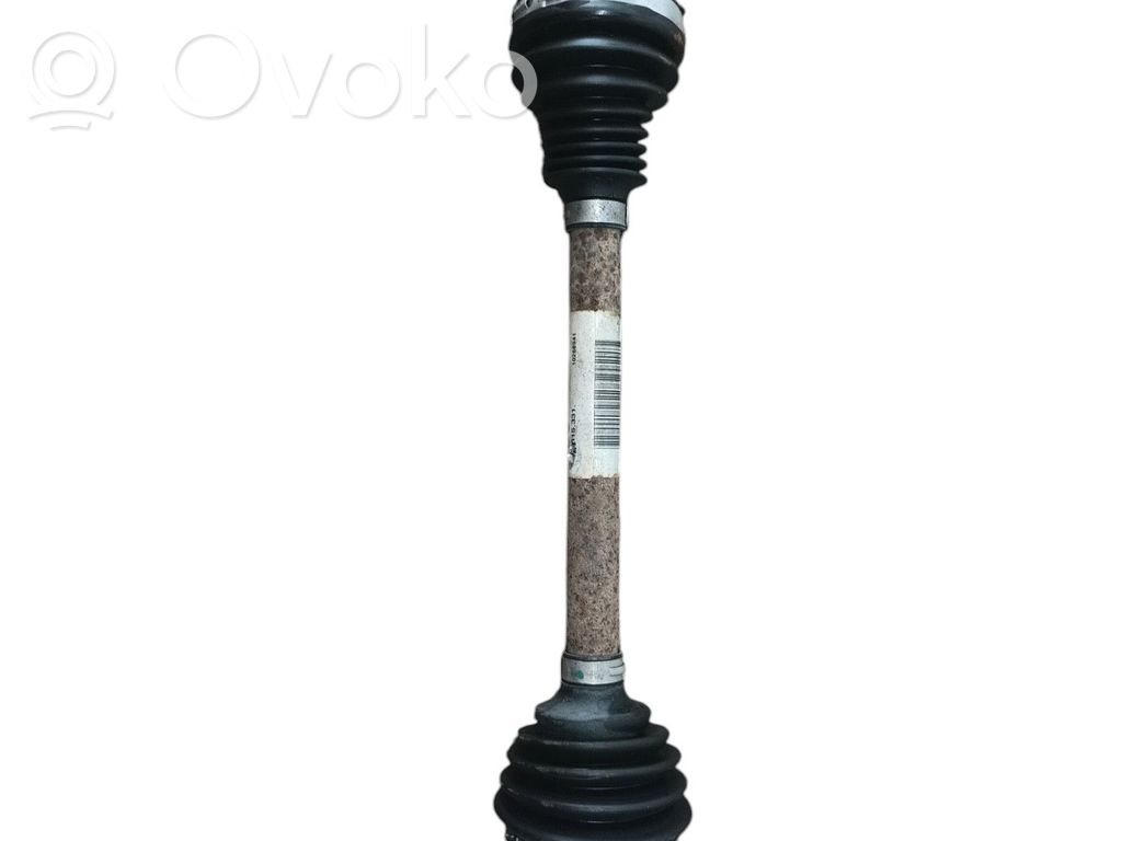 Galinis pusašis   396003780R,351ST94