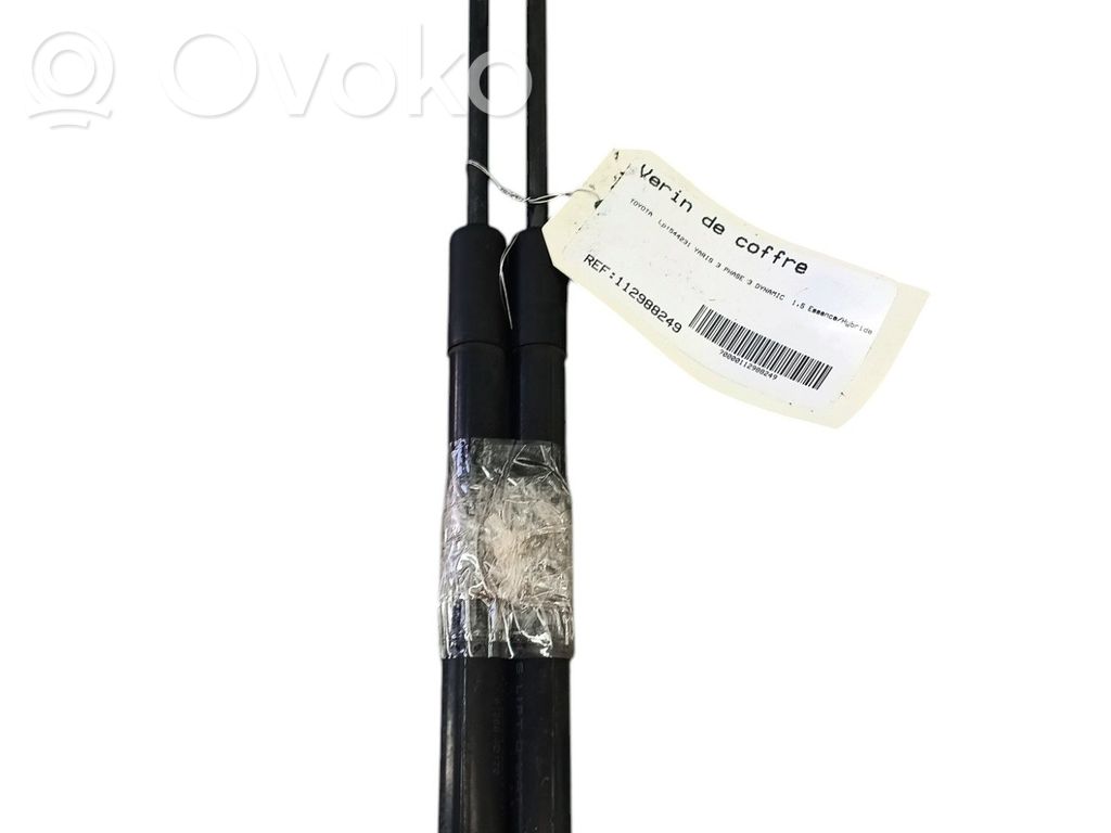 Amortizor hayon   689600D170