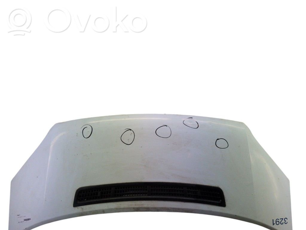 Dangtis variklio (kapotas)   1742622