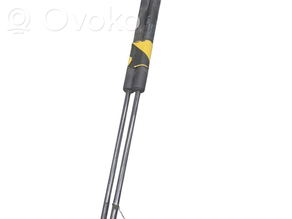 Amortizor hayon   00008731V8