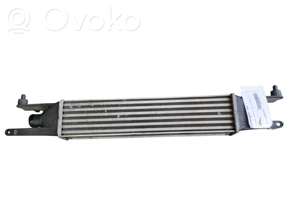 Intercooler radiator   50540161