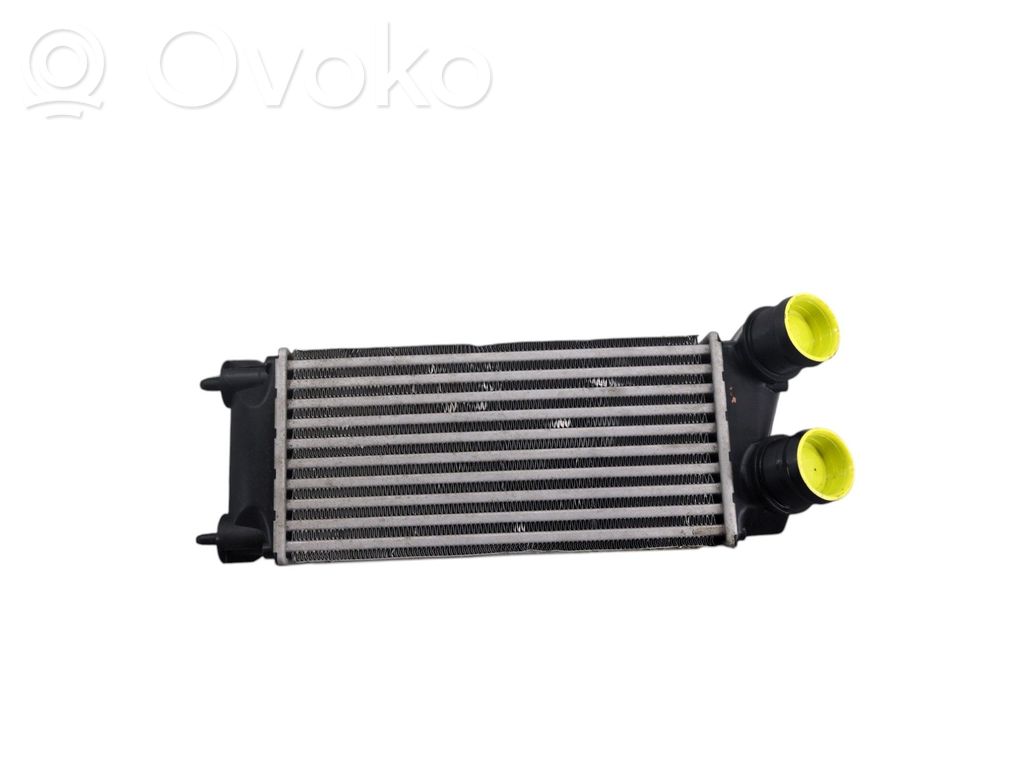 Intercooler radiator   9800291280