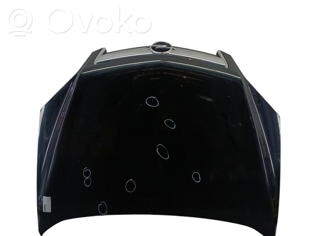 Dzinēja pārsegs (vāks)   95409819