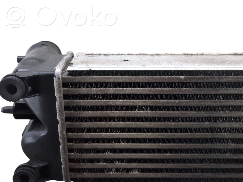 Intercooler radiator   0384P5