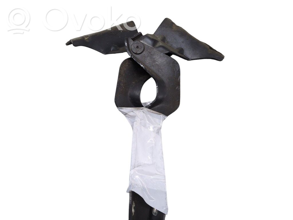 Nissan Qashqai Cerniere del vano motore/cofano 