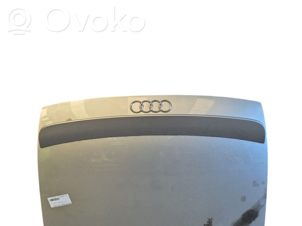 Audi TT Mk1 Puerta del maletero/compartimento de carga 