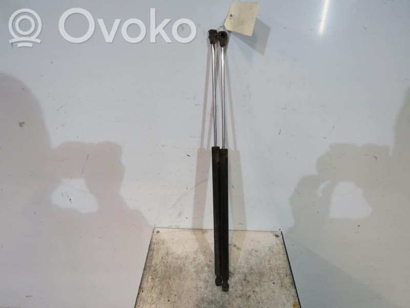 Tailgate/trunk strut/damper   00008731G6