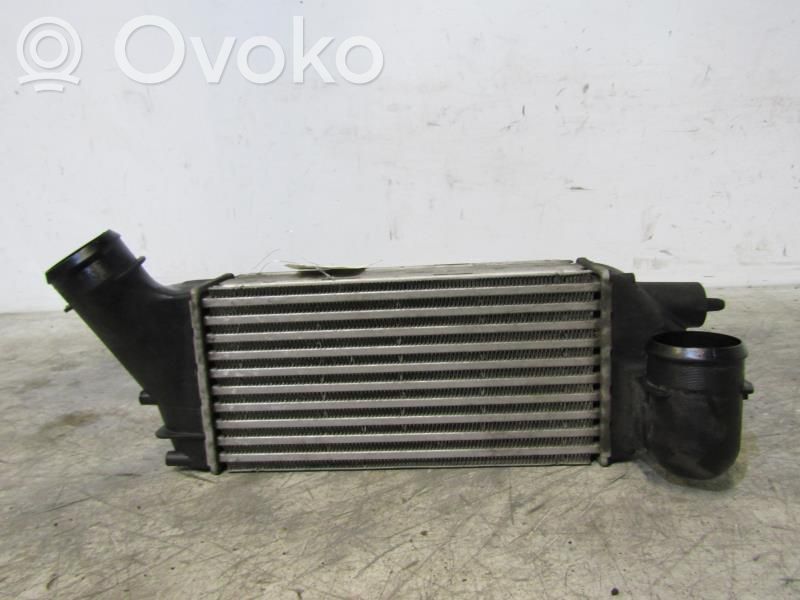 Interkūlerio radiatorius   00000384K5