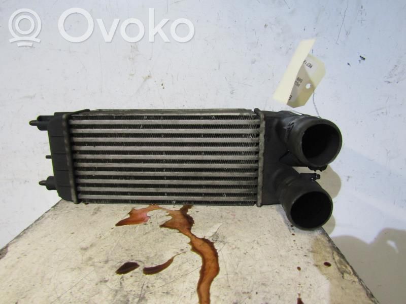 Intercooler radiator   0384P5