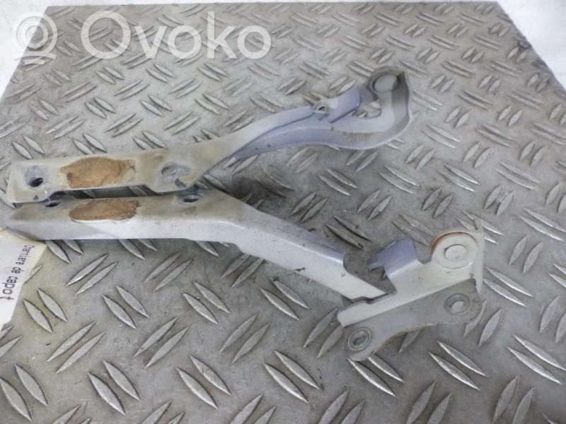 Nissan Pixo Konepellin saranat 