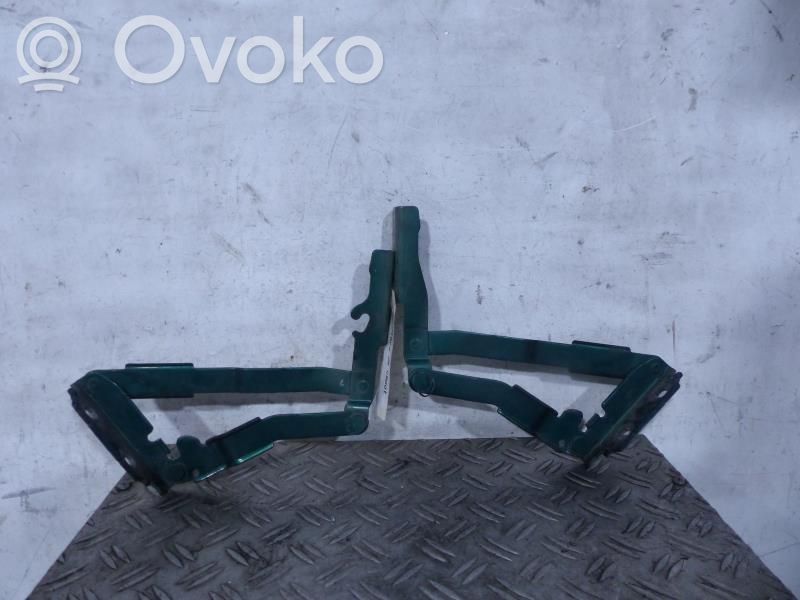Peugeot 807 Cerniere del vano motore/cofano 