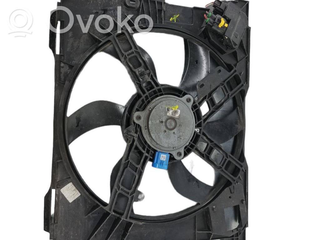 Elektrisks radiatoru ventilators   214812232R