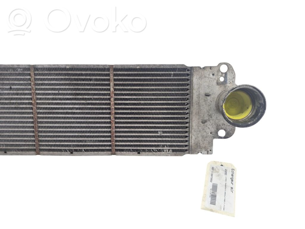 Volkswagen Multivan T5 Intercooler radiator 