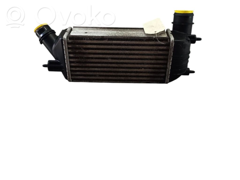 Starpdzesētāja radiators   00000384P2