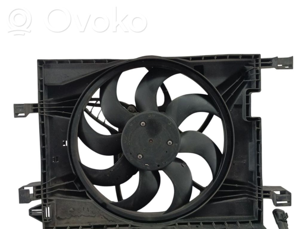 Elektrolüfter   214818192R