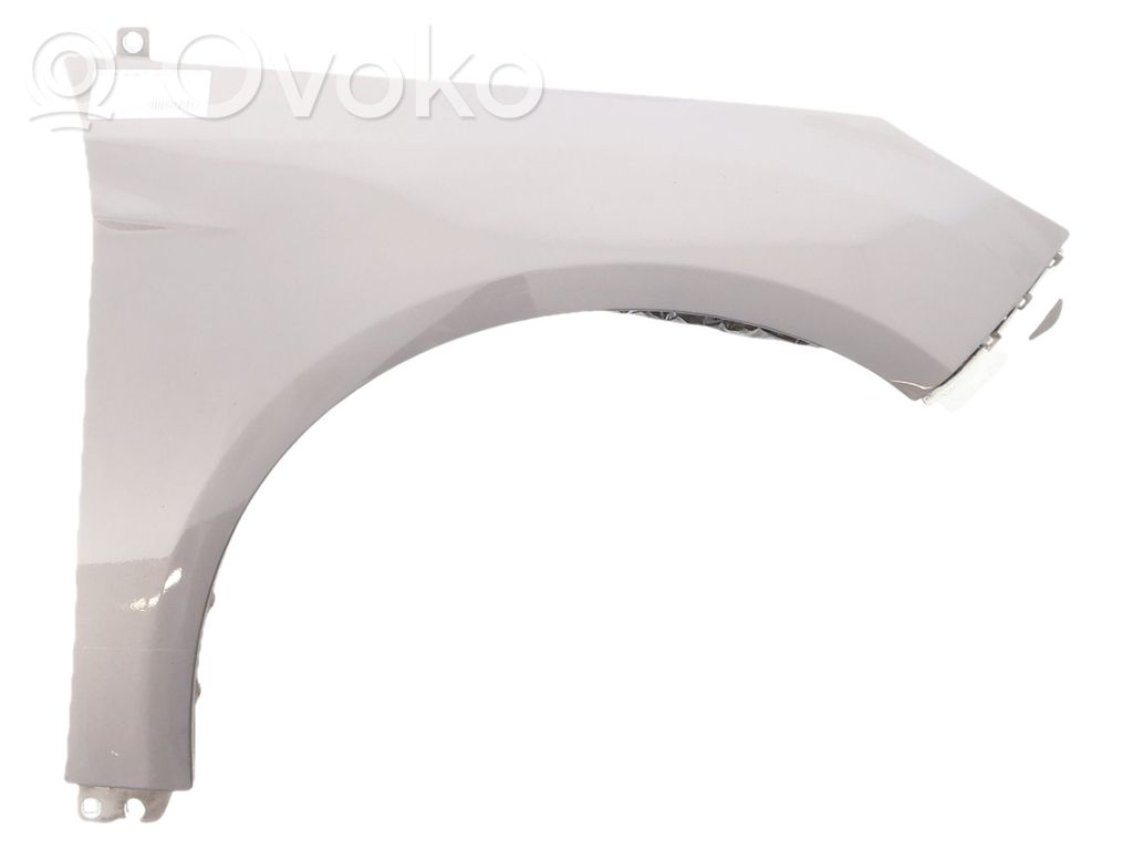 Fender   2171302