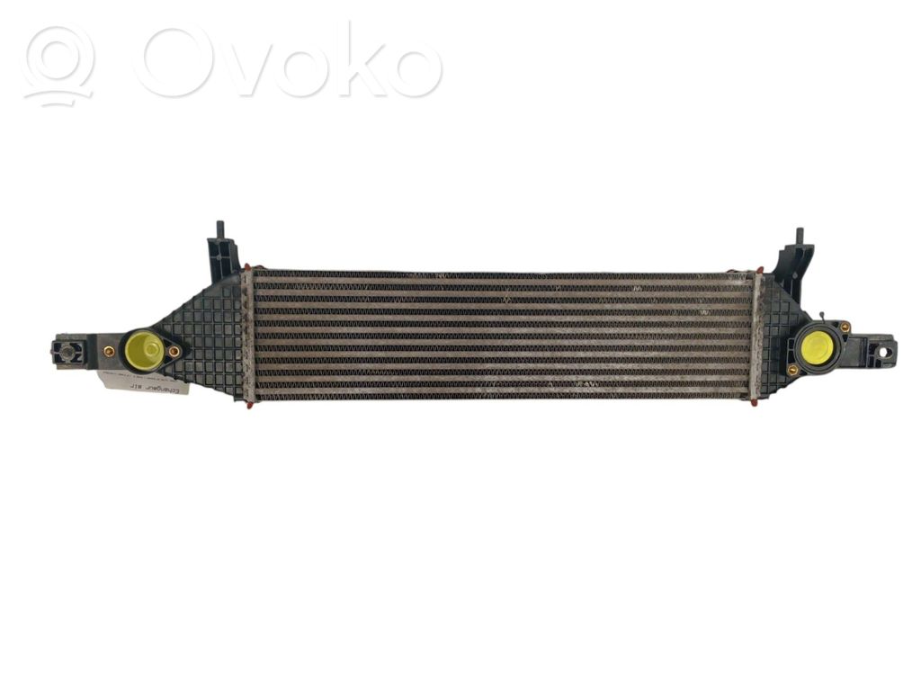 Radiador intercooler   14461BB50B