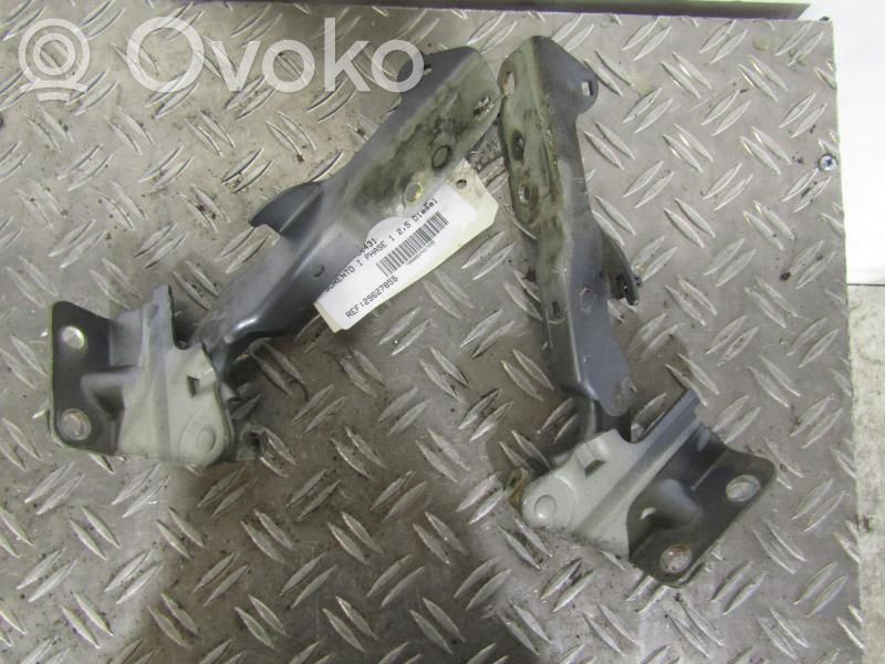 Charnière, capot moteur   791103E000