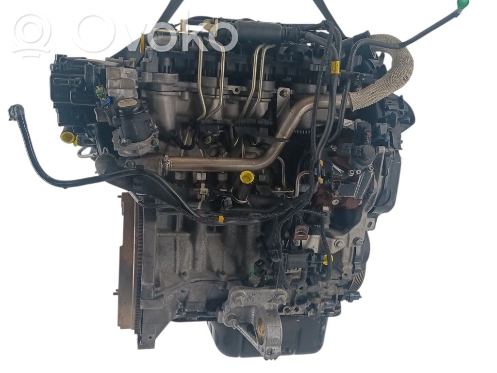 Variklis   0135QF