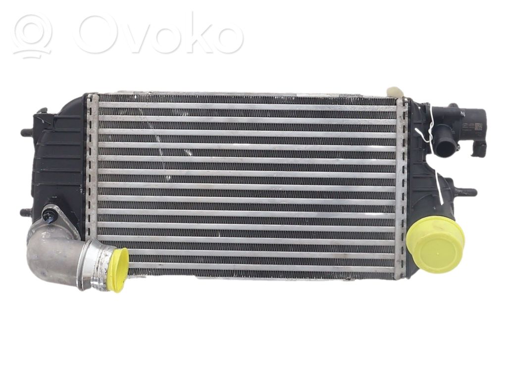 Hyundai Tucson IV NX4 Radiator intercooler 
