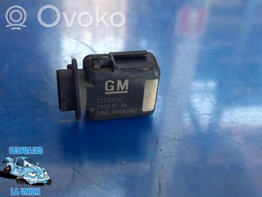 Sensor   13231067