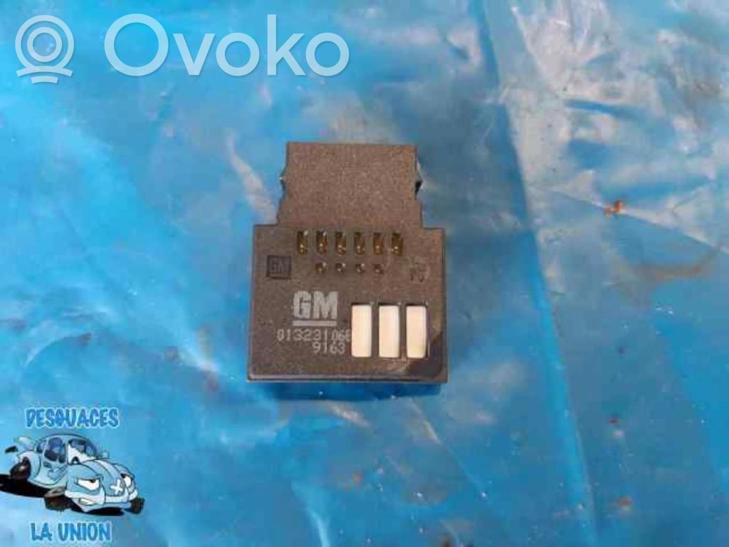 Sensor   0132310689163