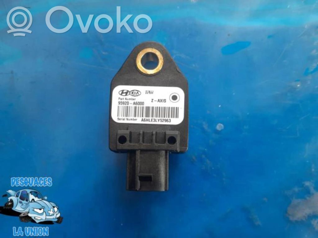 Kitas daviklis   95920A6000