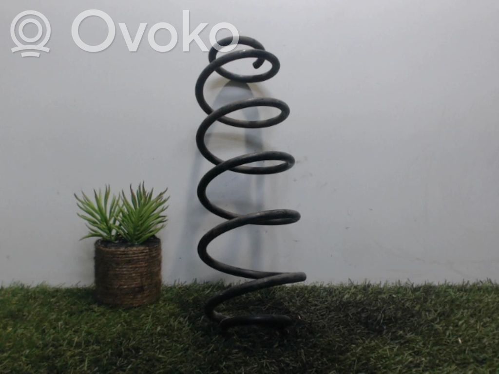 Rear coil spring
