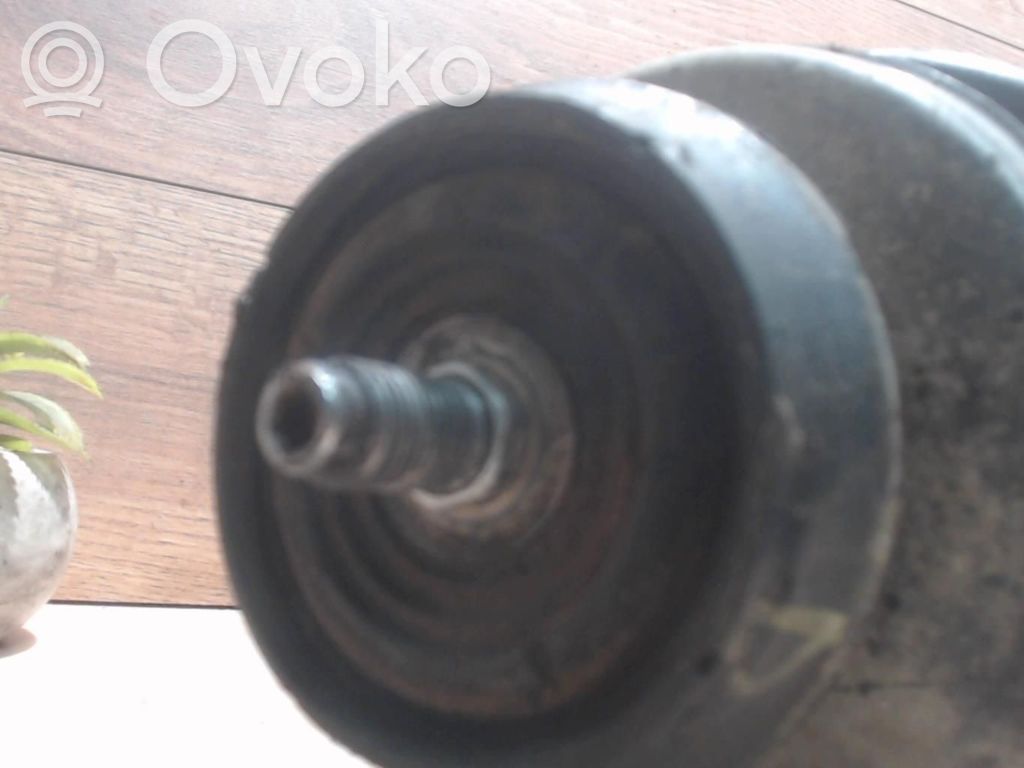Fiat Punto (176) Ammortizzatore anteriore con molla elicoidale 