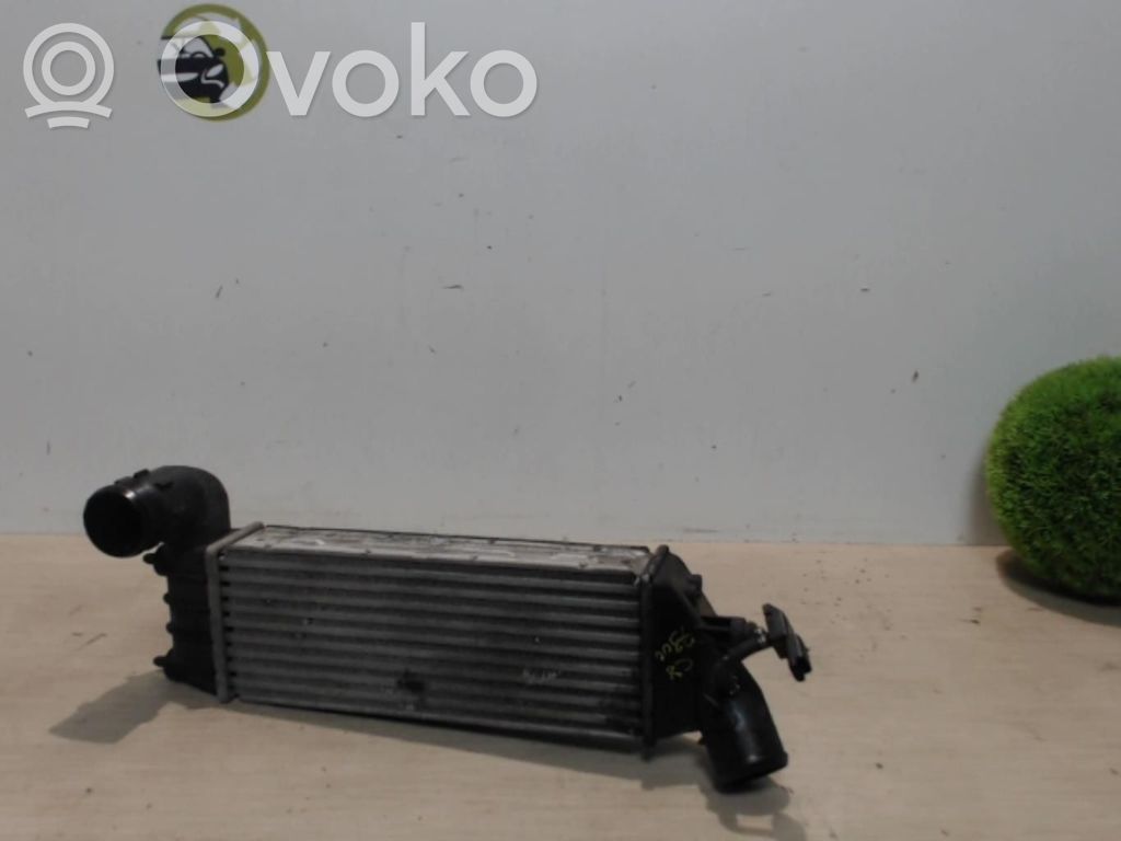 Intercooler radiator