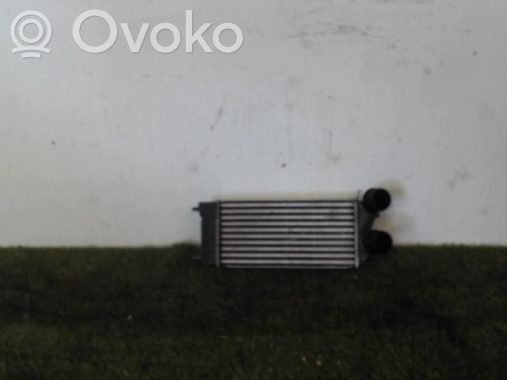Radiador intercooler   0384N9,0384N9