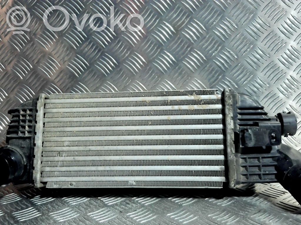 Radiador intercooler   00000384N4,00000384N4