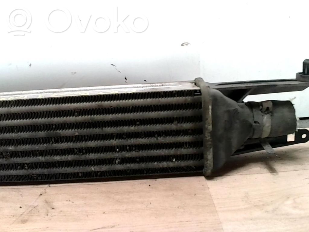 Fiat Punto (199) Radiator intercooler 